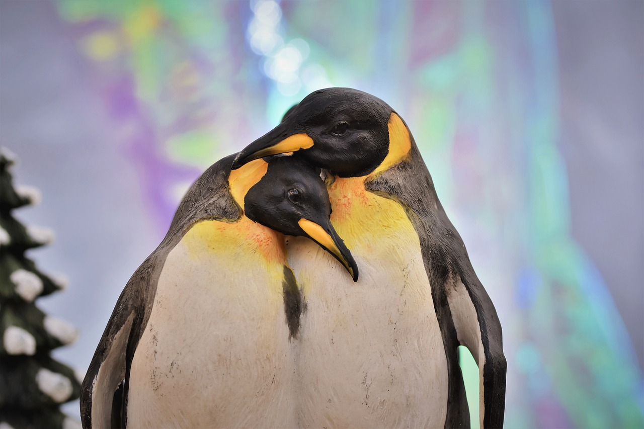 A plumagem do pinguim-imperador é multicor e possui uma faixa laranja em volta do ouvido. É uma ave que costuma aparecer em qualquer lista das mais belas do planeta. 