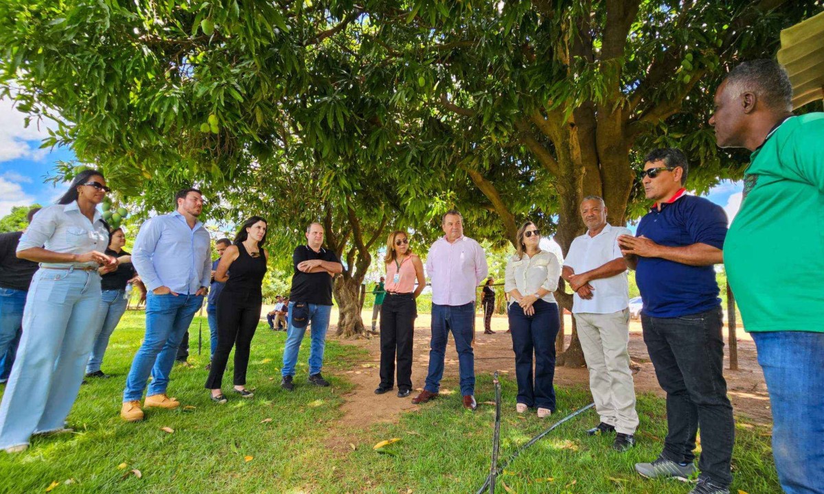 GlobalFruit e Governo de Minas exploram oportunidades no Projeto Jaíba -  (crédito: DINO)