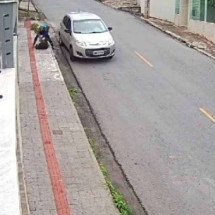 Moradores denunciam furtos de plantas ornamentais em rua do Bairro Grajaú - Imagens do circuito de seguran&ccedil;a