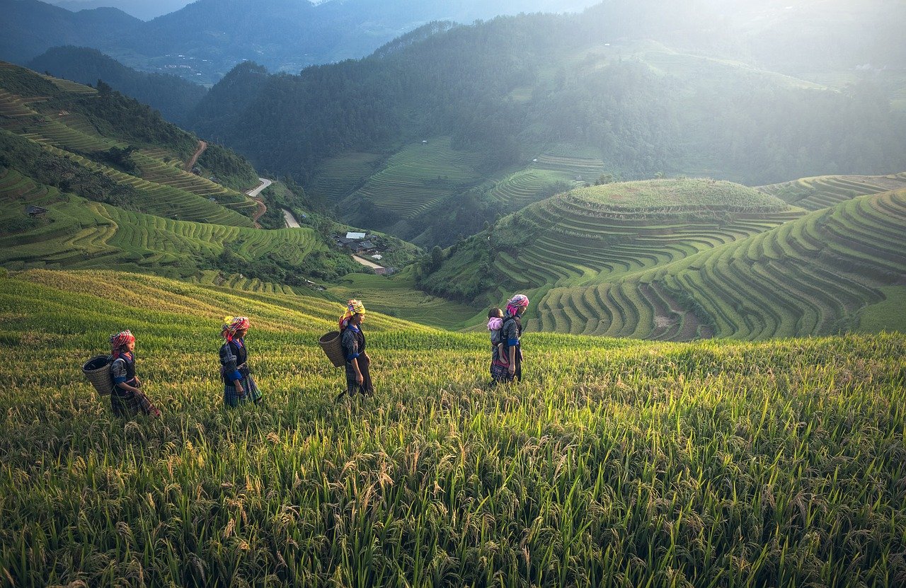 O Camboja é um país de paisagens diversas, com terras férteis irrigadas pela bacia do Rio Mekong. O clima tropical, marcado por temperaturas que podem ultrapassar os 38°C, influencia o turismo, que é uma parte vital da economia nacional.