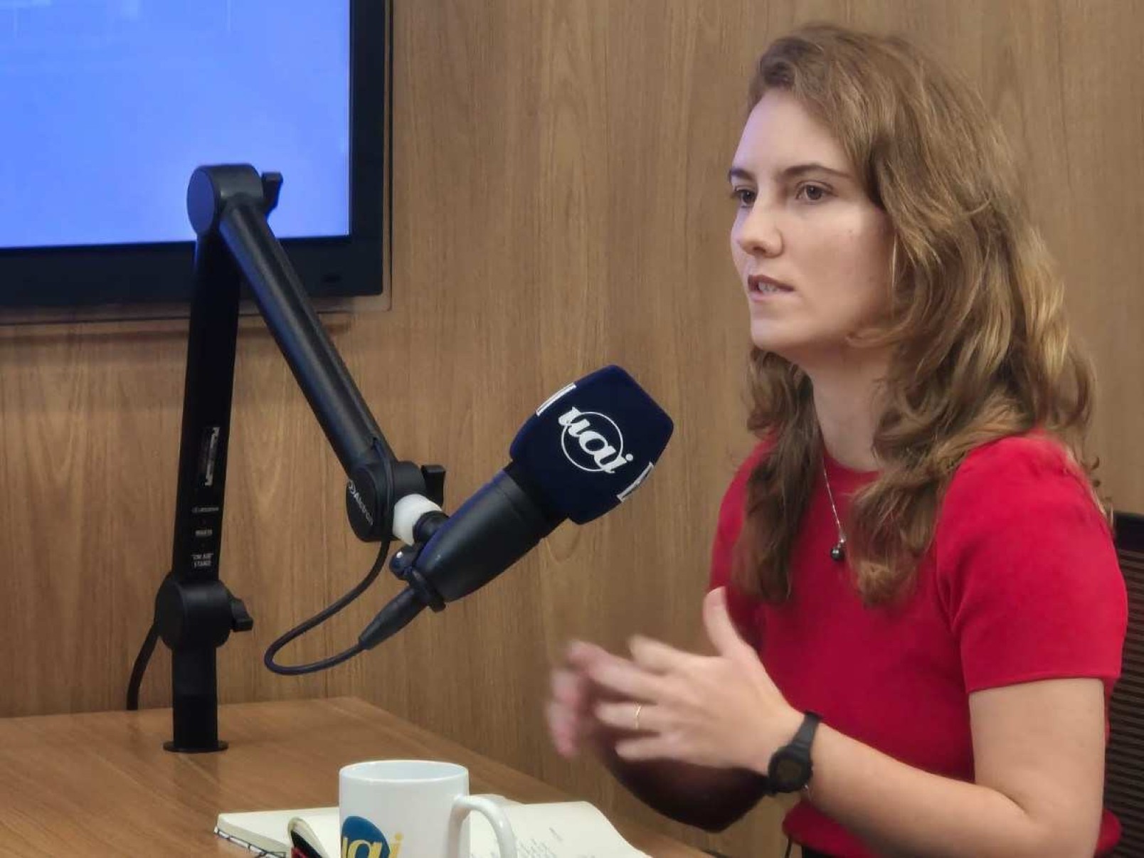 Vereadora eleita em BH, Luiza Dulci defende 'renovação raiz' no PT
