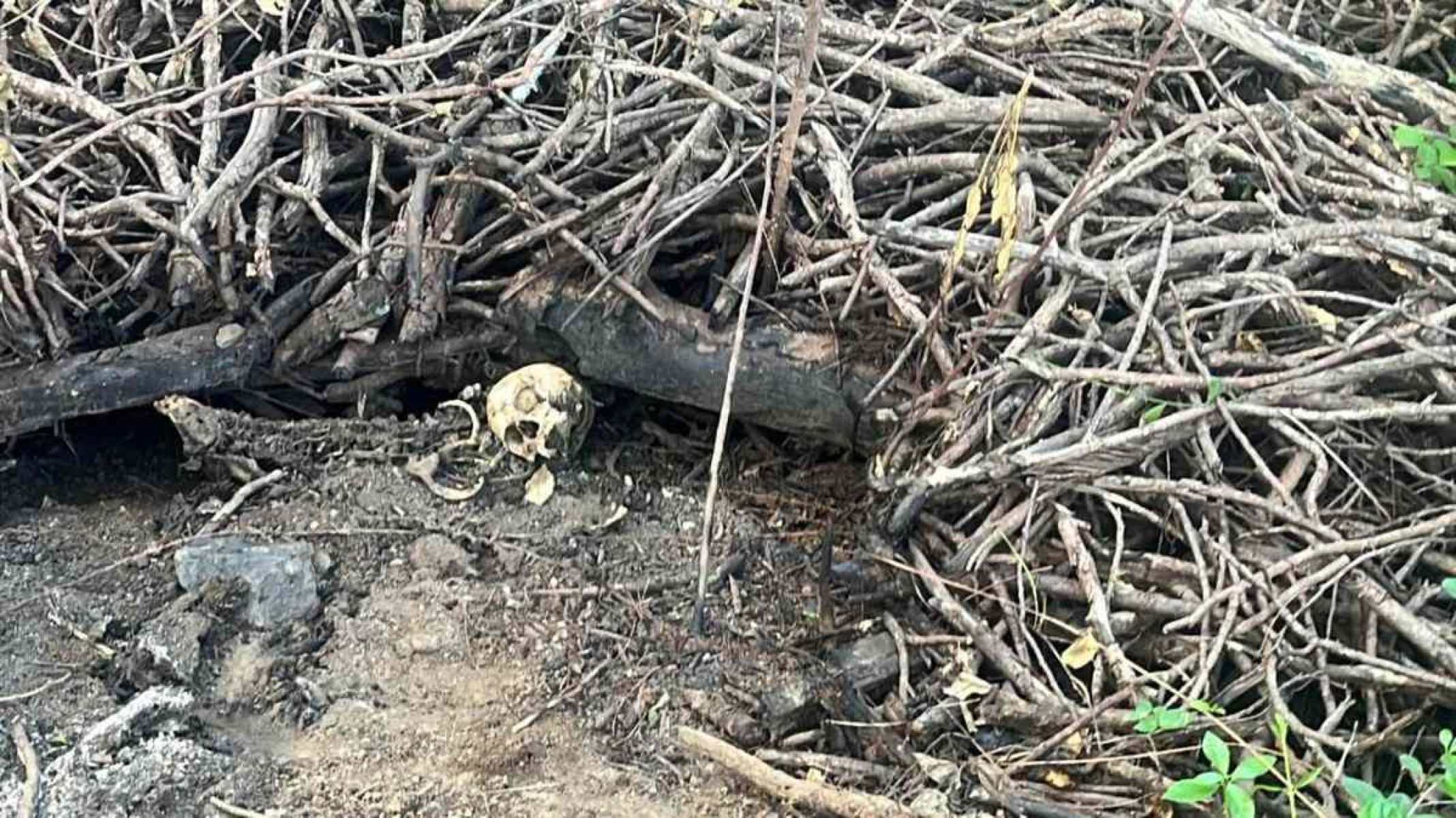 PC acha ossada carbonizada à margem de estrada em Minas após denúncia