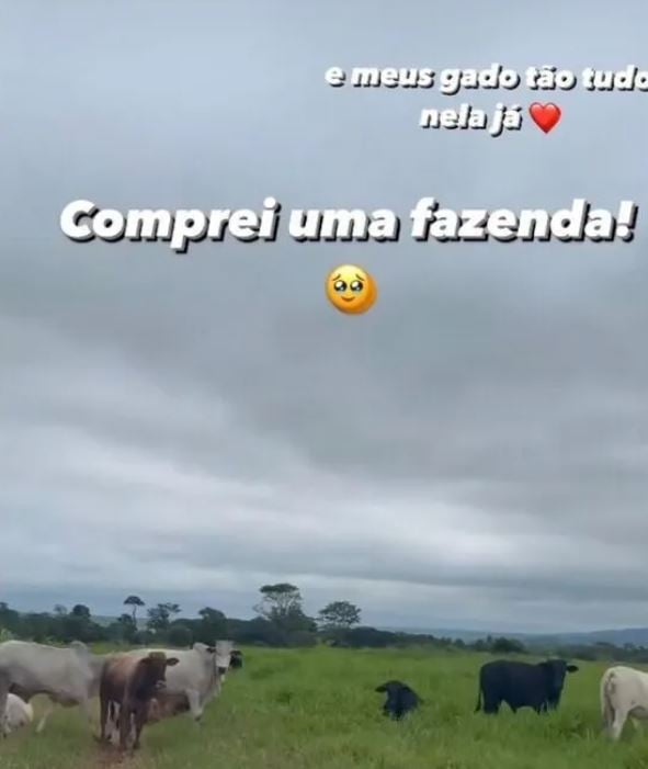 Recentemente, a Boiadeira anunciou a compra de uma fazenda em Sete Quedas, em Mato Grosso do Sul, onde ela viveu.  A cantora postou mensagem no Instagram, dizendo que o gado já estava lá. 