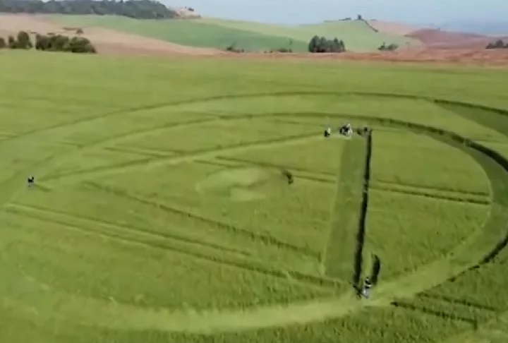 Na ocasião, foi constatado que havia um alinhamento “perfeito” do desenho. Além disso, o trigo não estava deitado ou com galhos quebrados.