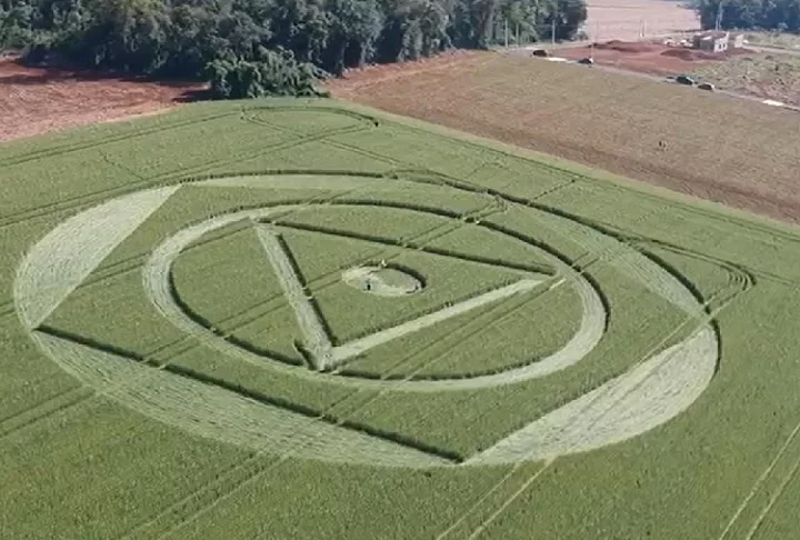 No Brasil, desde 2008, há registros de agroglifos surgindo em plantações de trigo, especialmente no sul do país, com destaque para o interior de Santa Catarina. 