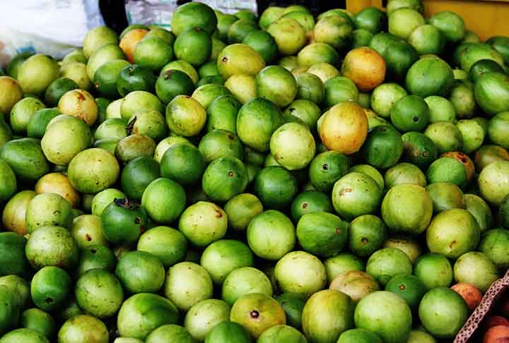 O umbu, fruto nativo do semiárido brasileiro, oferece uma experiência gastronômica única com seu sabor agridoce que combina o cítrico com o adocicado. Também pode ser consumido através da produção de doces e geleias. 