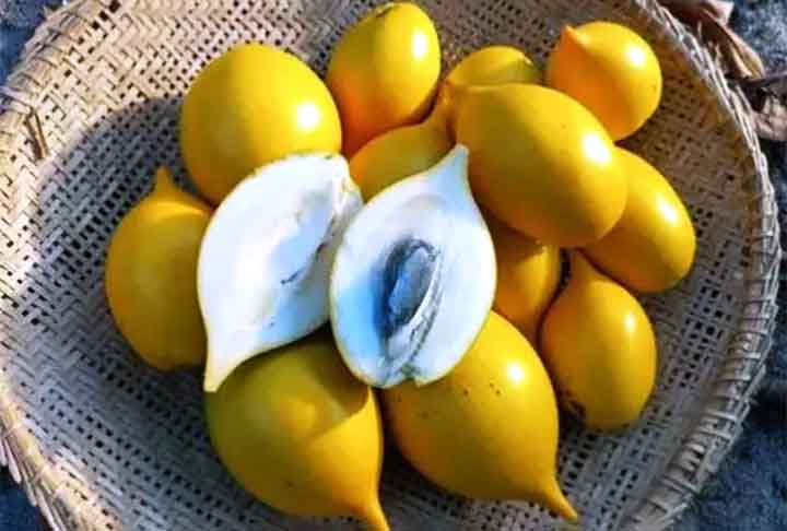 Amarelo e doce, o Abiu, também chamado de Abiurana ou Caimito, é de origem amazônica e tem o tamanho de um ovo de galinha. Além disso, é rico em vitaminas A, B e C, assim como cálcio e fósforo. Também pode ser consumido no preparo de geleias. 