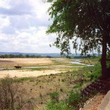 Animais ferozes na paisagem: Trem abandonado é transformado em hotel no meio da selva na África do Sul - Chris Eason  wikimedia commons