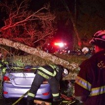 Ciclone-bomba causa mortes nos EUA; entenda o que é esse fenômeno - Reprodução/Facebook/Seattle Fire