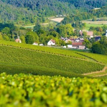 Região de Champanhe, a poucas horas de Paris, vale pela bebida e pela paisagem - goodfon