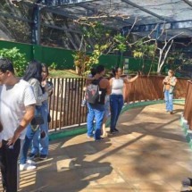 Zoológico de BH oferece experiência imersiva com aves neste domingo - Reprodu&ccedil;&atilde;o/PBH