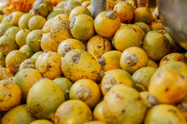 O tucumã é redondo, composto de polpa alaranjada ou amarela de massa fibrosa, compacta e firme. Acima da polpa está a casca, podendo ser amarelo-claro ou escuro. Abaixo da polpa está um caroço negro lenhoso que ao ser partido apresenta amêndoa de massa branca, oleaginosa e dura.