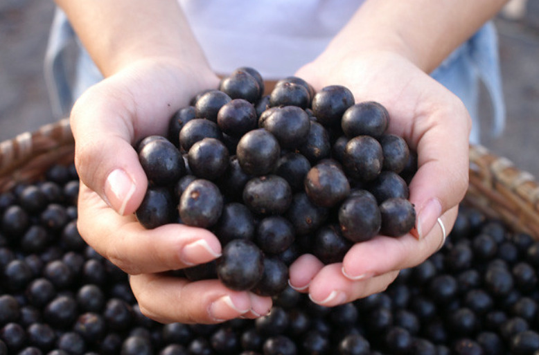 Uma das mais famosas é o açaí. Fruto brasileiro cultivado predominantemente na região amazônica, de cor escura, que vai do roxo ao preto. Nas últimas décadas, se popularizou em várias regiões do país e pode ser consumido de diferentes maneiras, somada a vários ingredientes. 