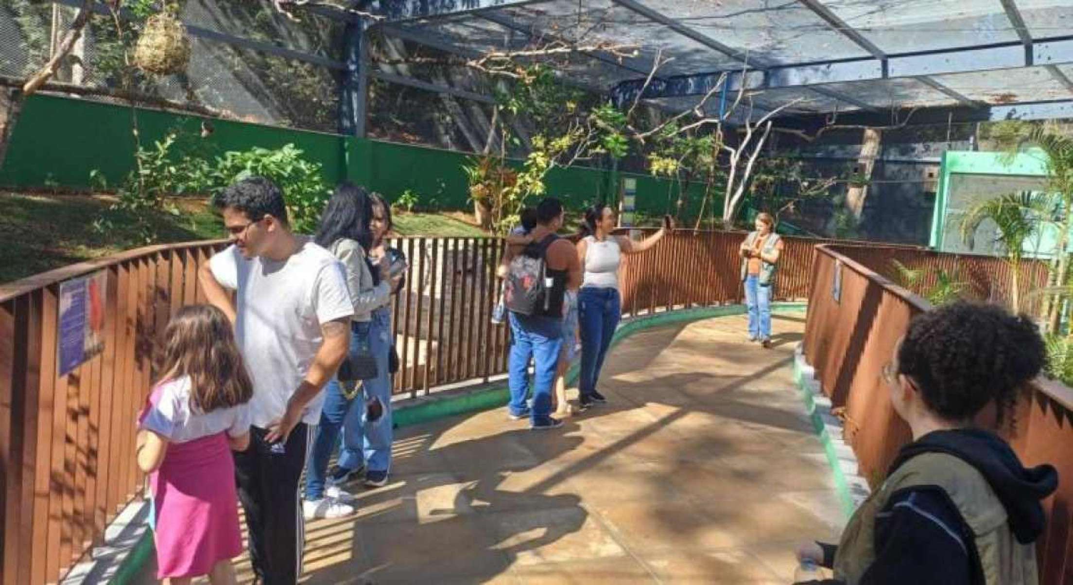 Zoológico de BH oferece experiência imersiva com aves neste domingo