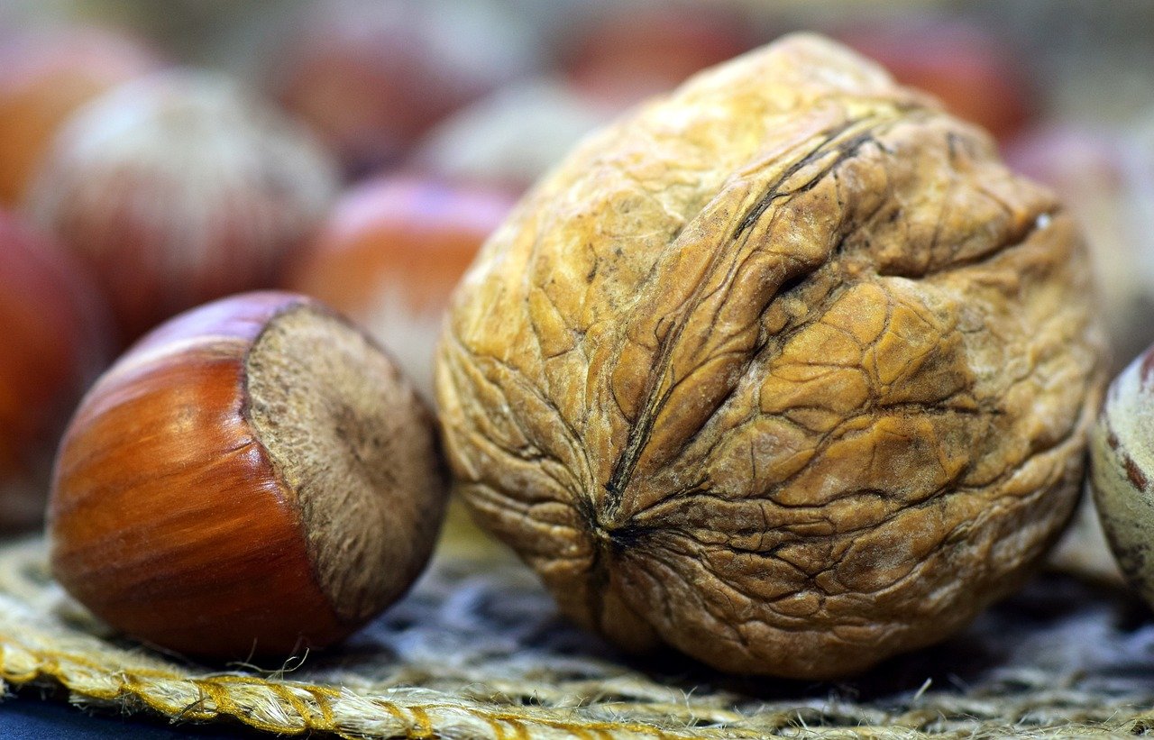 Amêndoas e avelãs possuem funções semelhantes para a culinária e para a saúde dos consumidores. Ambas também ajudam na função cardiovascular, reduzindo o colesterol e prevenindo doenças do coração, graças às gorduras insaturadas.