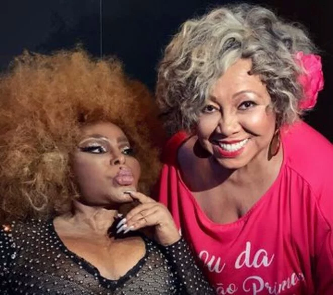 No transcorrer da carreira, Alcione ganhou 26 Discos de Ouro, sete de Platina, dois de Platina Duplo, três DVDs de Ouro e um de Platina.