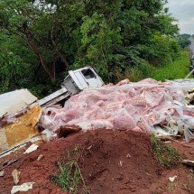 Assaltantes fecham carreta de carne bovina, que tomba e carga é saqueada - Samir Alouan/Divulga&Atilde;&sect;&Atilde;&pound;o