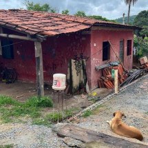 Mãe com câncer e os três filhos vão ter que deixar casa na Grande BH - Edésio Ferreira / EM./D.A.Press