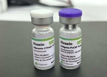 Ainda n&atilde;o h&aacute; vacina contra o Plasmodium vivax, um dos parasitas que causam a mal&aacute;ria -  (crédito: CT-Vacinas/UFMG)