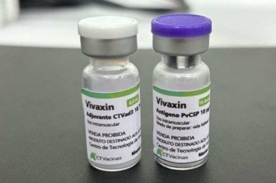 Ainda n&atilde;o h&aacute; vacina contra o Plasmodium vivax, um dos parasitas que causam a mal&aacute;ria -  (crédito: CT-Vacinas/UFMG)