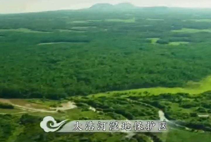 Por isso, existem projetos de conservação e reintrodução do grou-japonês em vários lugares. Um exemplo é a Reserva Natural Nacional de Zhalong, em Qiqihar, na província de Heilongjiang, na China.