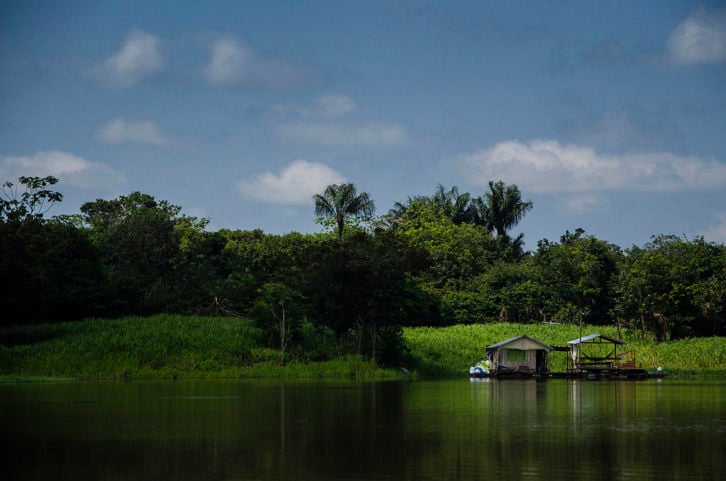 Lago do Janauari (Manaus): Famoso por sua rica biodiversidade, esse lago oferece um refúgio para quem busca contato com a natureza. 