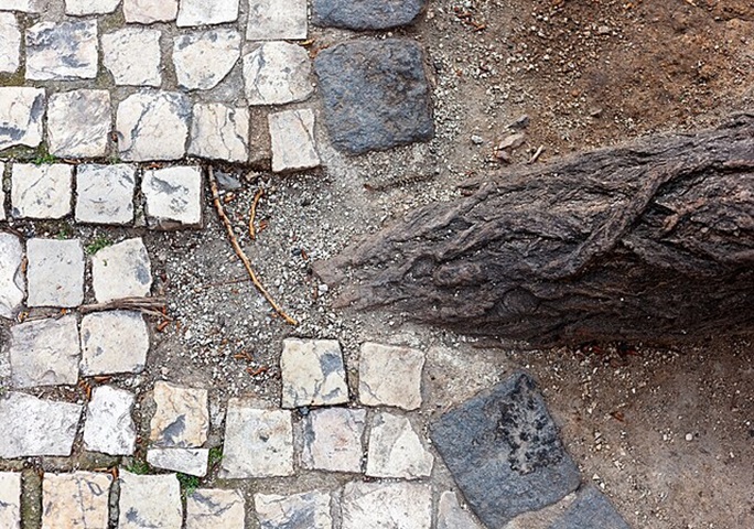 Por exigir técnica especializada, o mosaico com as pedras portuguesas tem uma manutenção mais difícil e mais cara do que a maioria das calçadas.  