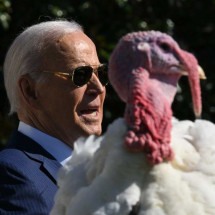 Entenda por que Biden ‘perdoou’ dois perus - Drew ANGERER / AFP