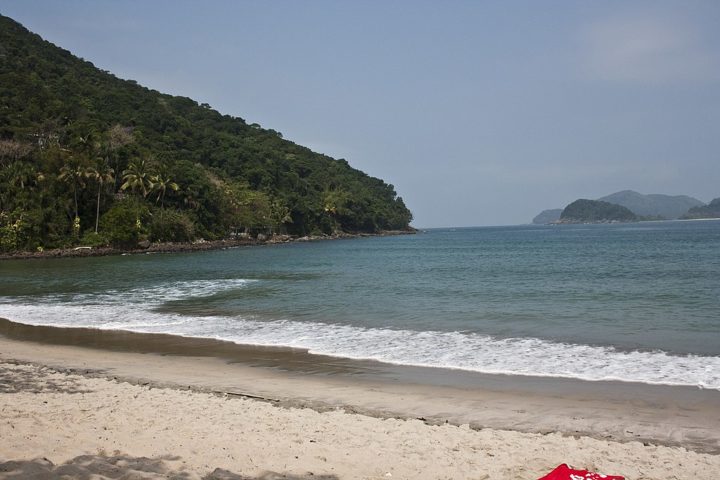 Entretanto, variações na temperatura da água e nas correntes marítimas podem ter contribuído para seu aparecimento na praia.