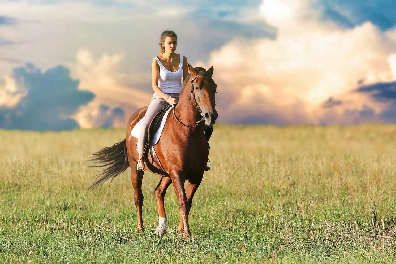 O cavalo tem 98% do andar parecido com o do humano. Quando a pessoa senta no lombo do animal, seu corpo mexe tridimensionalmente.