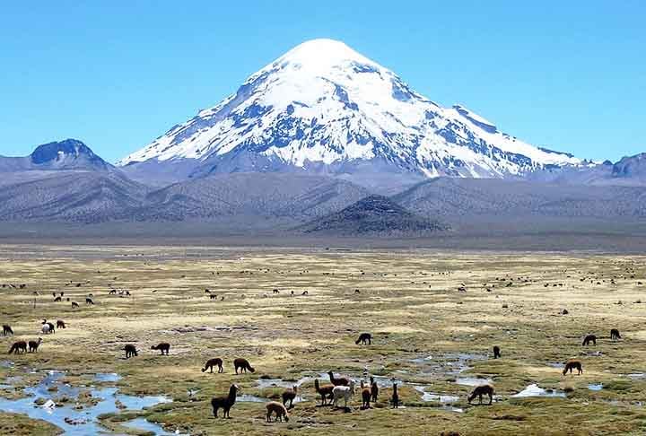 O Nevado Sajama é o monte mais alto da Bolívia, na Cordilheira dos Andes. Na maior parte das fontes, aparece como tendo 6.542 m , porém no trabalho mais recente teve sua altura corrigida para 6550m de altitude é um estratovulcão extinto que forma um cone isolado.