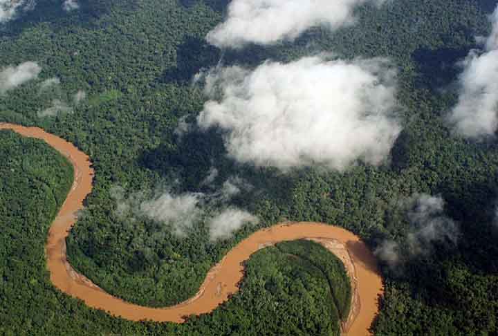 A Amazônia Boliviana é a parte do território localizada na Amazônia, sendo uma das grandes regiões ecológicas do país. Está localizada no grande grupo de planícies que inclui o Chaco boliviano. Ela é um contraste com os altos relevos do Altiplano dentro da cordilheira dos Andes que ocupam o oeste do país. 