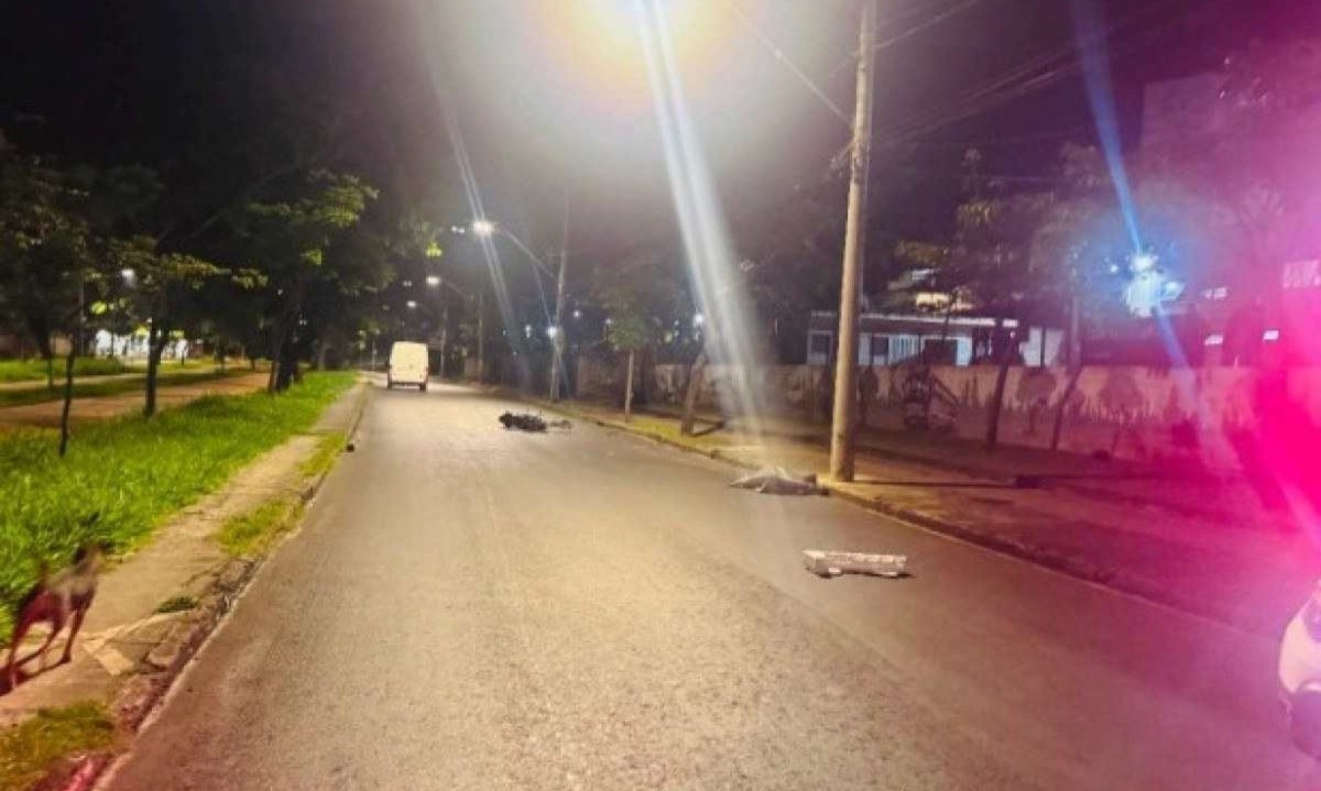 Segundo a Polícia Militar, a moto teria se chocado contra o poste da rua -  (crédito: Reprodução / Polícia Militar )