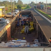 PRF de Uberaba realiza a maior apreensão de maconha de 2024 - PRF/Divulga&ccedil;&atilde;o