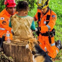 Idosa que estava desaparecida é encontrada com cão em plantação de mamão - Divulgação CBMMG