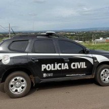 Mulher é indiciada por atropelamento e omissão de socorro a cadela em MG - Reprodução / Polícia Civil