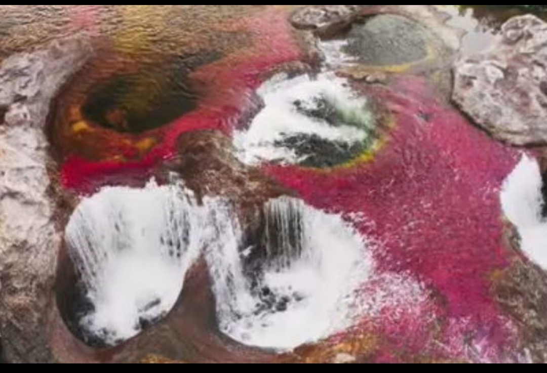 Caño Cristalis (Colômbia) - Este incrível rio na Serrania de Macarena fica com 5 cores e a rosa é a mais destacada, provocada pela quantidade de Macarenia clavígera, planta endêmica da região. 