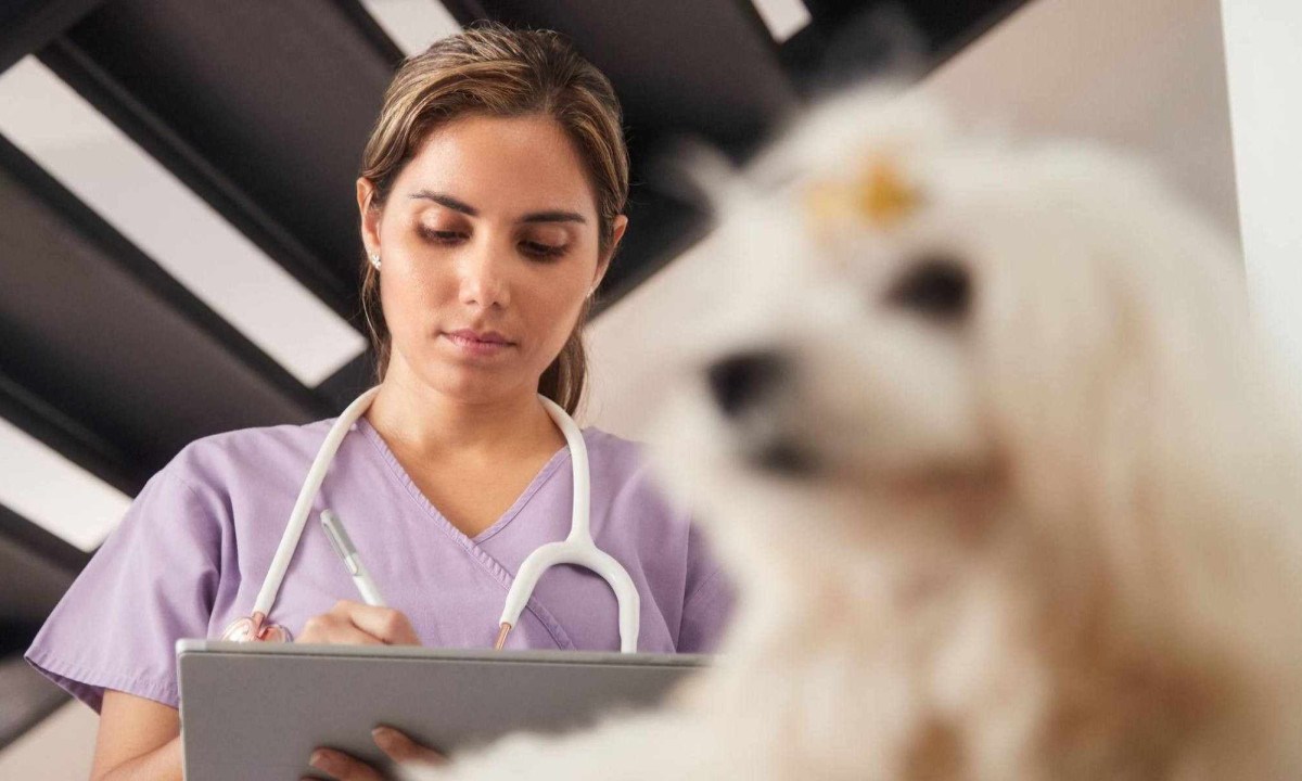 Dados mostram que é comum que veterinários enfrentem problemas de saúde mental -  (crédito: Agência Brasil)