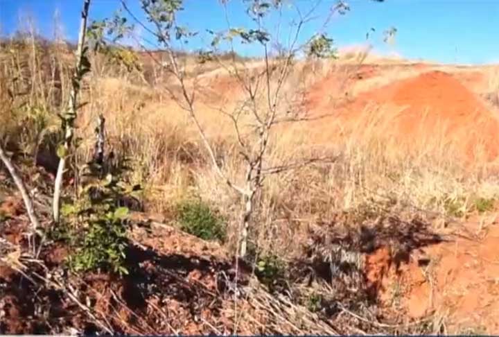 Segundo uma pesquisa feita pela Universidade Federal do Paraná (UFPR), o processo de desertificação na cidade iniciou entre as décadas de 1940 e 1950, e foi impulsionado principalmente por práticas como mineração e agropecuária (base econômica da cidade).