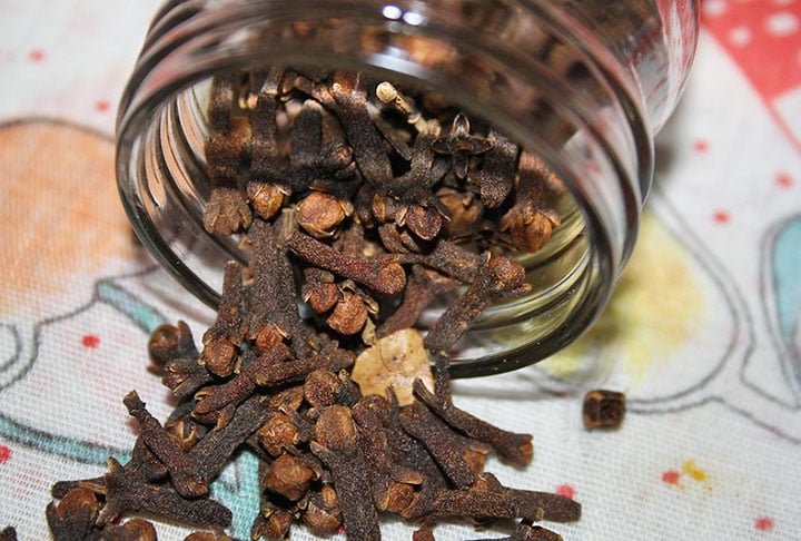 O cravo-da-índia, uma especiaria aromática comumente usada na culinária, possui eugenol, um composto com propriedades antimicrobianas. Ele ajuda a eliminar bactérias na boca, promovendo um hálito mais agradável. Você pode mastigar um cravo diretamente ou preparar um chá com alguns cravos em água quente.