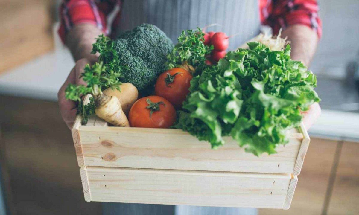 Transforme seu espaço em um jardim produtivo: aprenda a cultivar alface, alho e morango em casa -  (crédito: Milan_Jovic de Getty Images Signature)