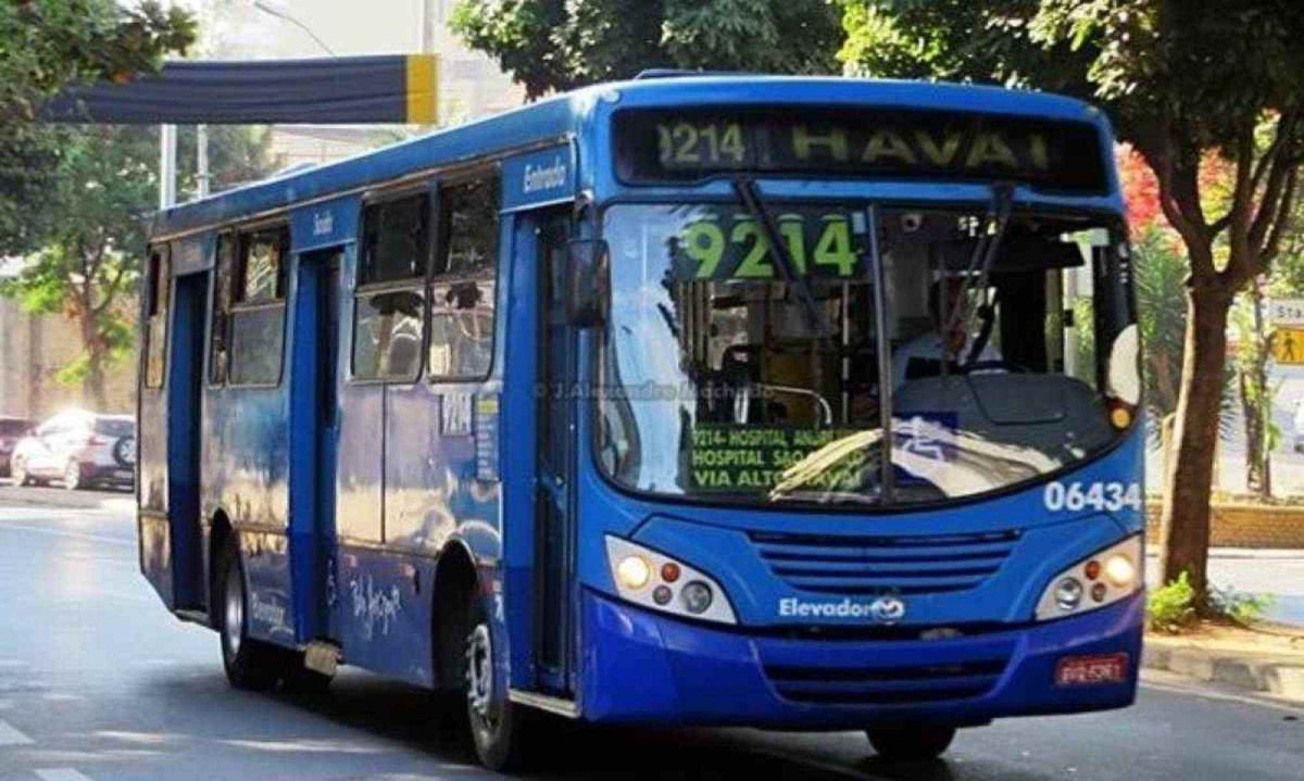 A linha 9214 – Caetano Furquim/Havaí - via Alto Havaí – deixará de existir a partir de sábado (30/11) -  (crédito: J. Alexandre Machado/Ônibus Brasil)