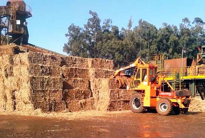 A durabilidade éclimitada se não for tratada adequadamente. Requer manutenção, como limpeza delicada, para evitar desgaste.
