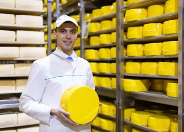 queijo amarelo artesanal 
     -  (crédito: FREEPIK)
