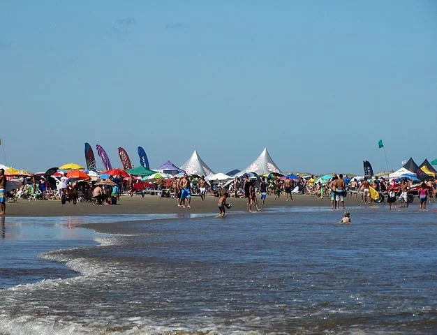 Outra praia com registros de águas-vidas no sul brasileiro é a Praia do Cassino, que aparece no topo das listas das maiores praias do mundo, pois tem incríveis 245 km de extensão. 