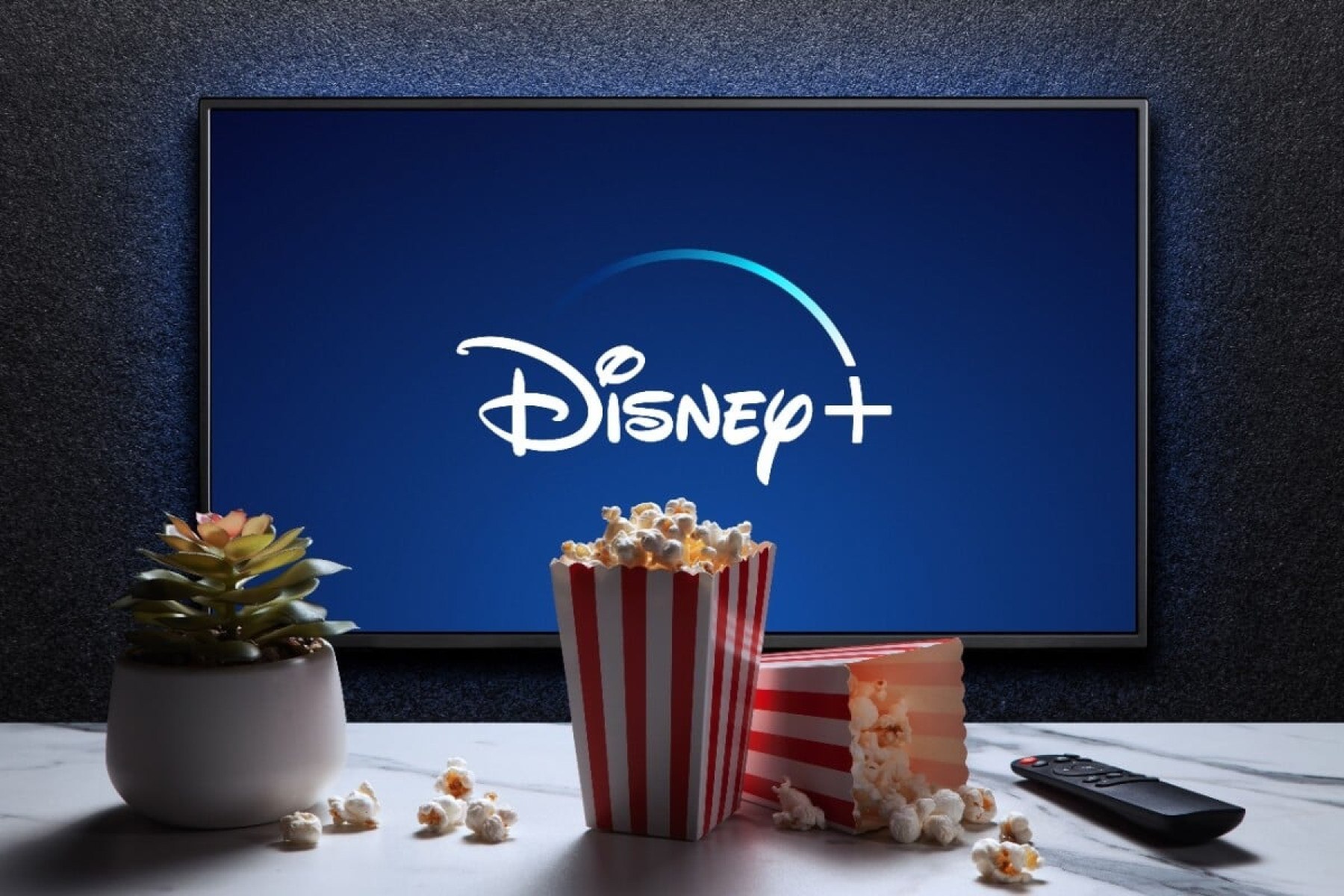 5 lançamentos do Disney+ em dezembro de 2024