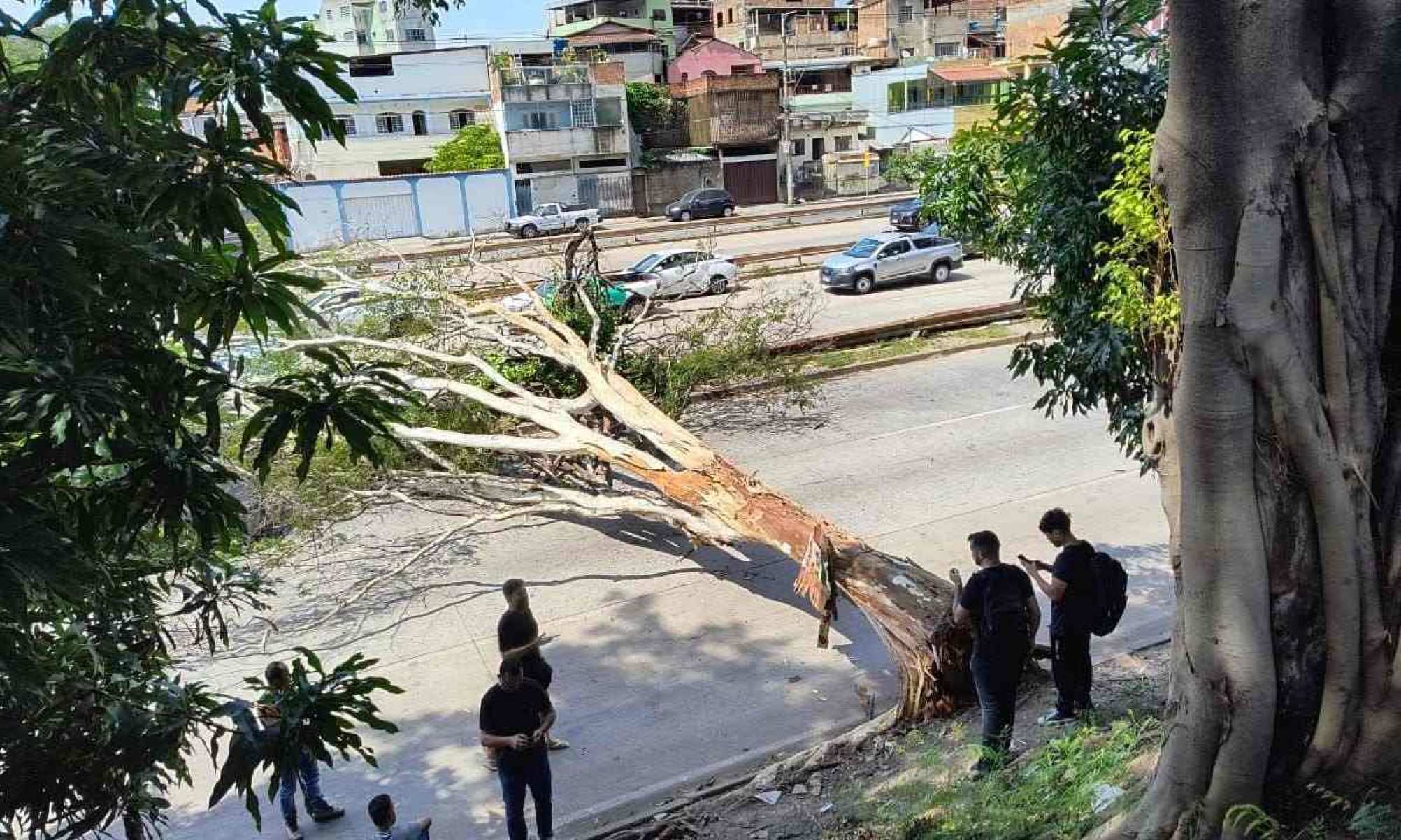 A faixa da Via Expressa sentido bairro está bloqueada