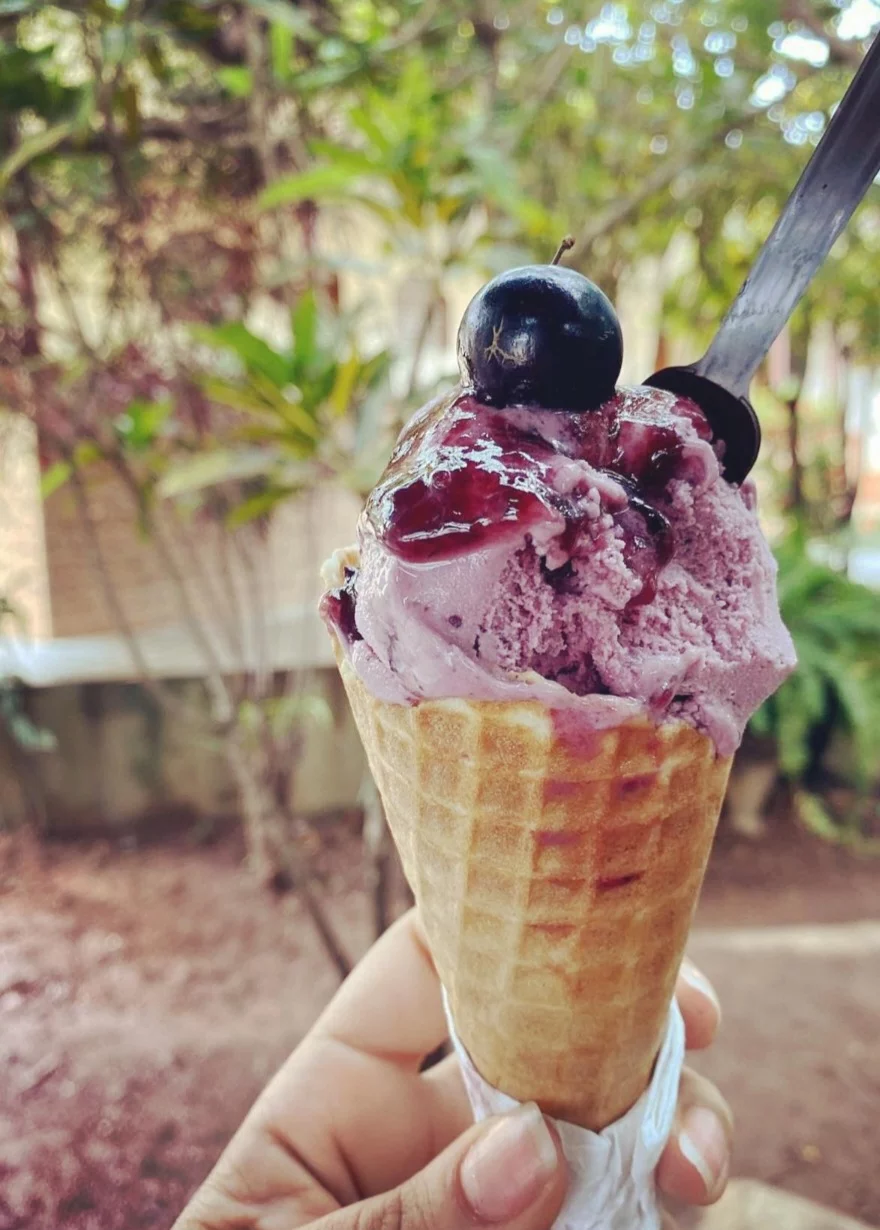 Ao visitar a Fazenda Jabuticabal, além da fruta propriamente dita, tirada diretamente do pé, é possível experimentar uma porção de derivados dela. Caipirinha, sorvete, doce, geléia, capuccino, cachaça e até pasta para churrasco.