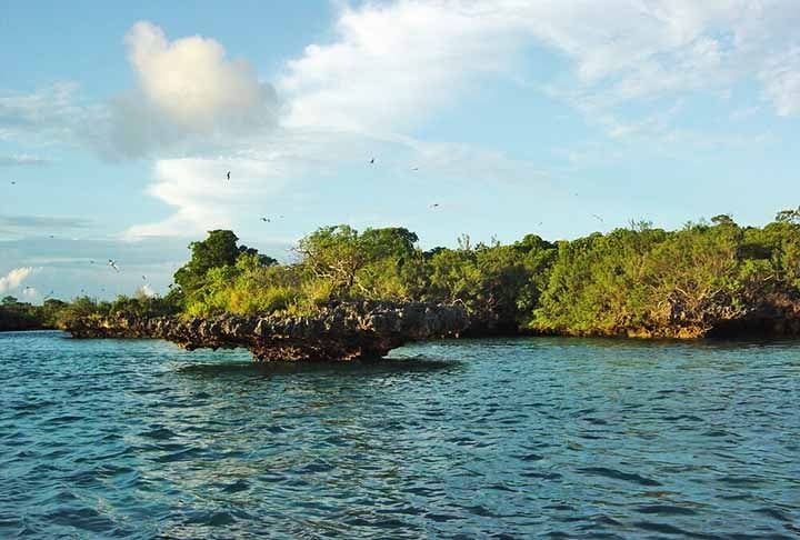 O Aldabra, em Seychelles, é o segundo maior atol de coral do mundo e um Patrimônio Mundial da UNESCO. Sua inacessibilidade ajudou a preservar seu ecossistema único, tornando-o um dos últimos refúgios intocados do planeta.