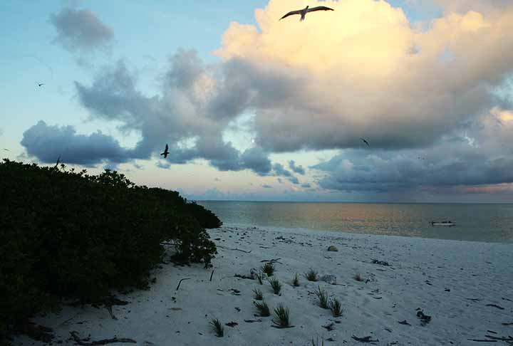 Localizado no extremo noroeste do arquipélago havaiano, Kure Atoll é um dos atóis mais isolados do mundo. É administrado como parte do Papah?naumoku?kea Marine National Monument, é vital para a preservação de aves marinhas e espécies ameaçadas.